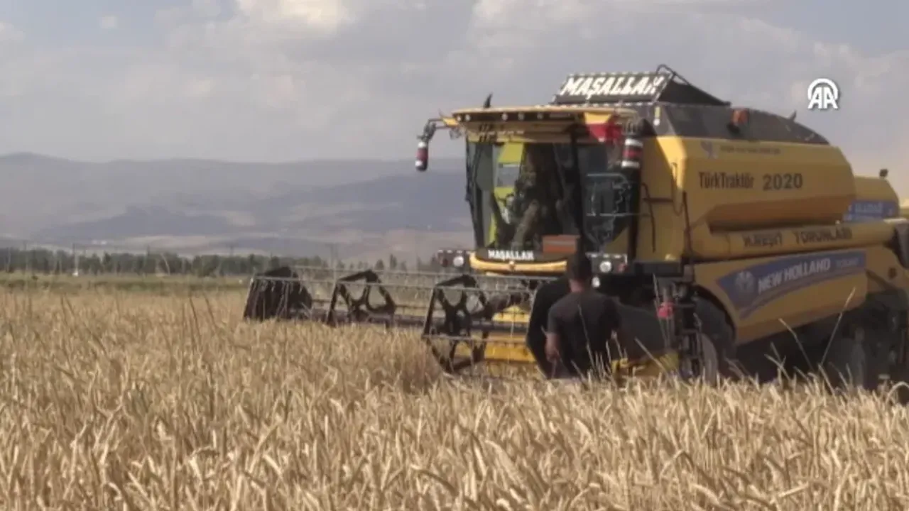 12 Bin 279 Çiftçinin Hibe Desteği Aldığı Erzurum'da Tarımsal Üretim Arttı