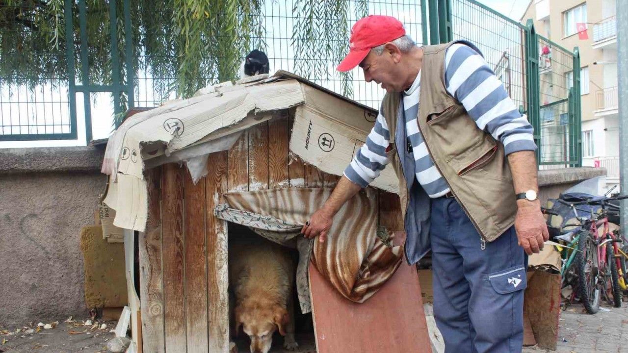 (ÖZEL) 22 senedir beslediği kedilerin ve köpeği ’Tombik’in mamasını eksik etmiyor