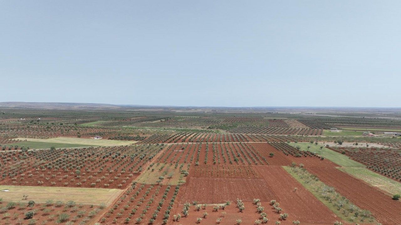 DSİ: Kilis'te günlük 30 bin metreküp arıtılmış atık su, tarım arazileri ile buluşturulacak