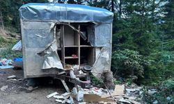 Artvin'de Aç Kalan Ayı Bu Kez Orman İşçilerinin Karavanını Talan Etti