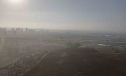 Adana güne sisle uyandı