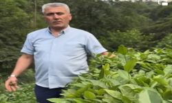 Mustafa Mavi; 3. Sürgünde Mayıs Çayı Kadar Verim Aldık