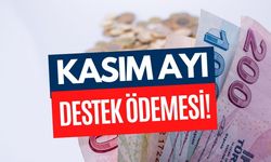 Aile Bakanlığı 2125 TL Desteği Kasımda Hesaplara Yatıracak