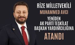 Avcı Yeniden Teşkilat Başkan Yardımcılığına Atandı