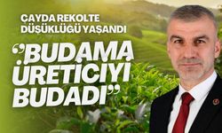 Budama Zamanından Dolayı Çayda Rekolte Düşüklüğü Yaşanmakta