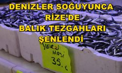 Denizler Soğuyunca Rize'de Balık Tezgahları Şenlendi