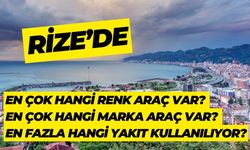 Rize’de En Çok Hangi Renk Araç Var? En Çok Hangi Marka Araç Var? En Çok En Fazla Hangi Yakıt Kullanılıyor?