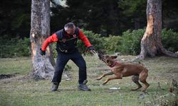 Trabzonlu İtfaiyeci Yetiştirdiği K9 Köpeğiyle Arama Kurtarma Çalışmalarına Katılıyor