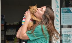 Trabzonlu Veteriner Hekim Tedavi Ederek Hayata Bağladığı Kediyi Sahiplendi