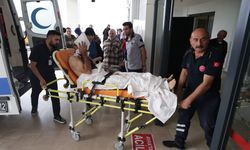 Ayı Saldırısına Uğradı! Ambulans Helikopterle Trabzon'a Gönderildi