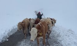 Bayburt'un Yüksek Rakımlı Dağ Köyleri Karla Sessizliğe Büründü