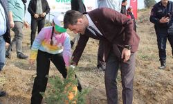 Erbaa’da 6 bin fidan toprakla buluştu