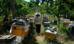 Erzincan’da arıların "tatlı uykusu" başlıyor