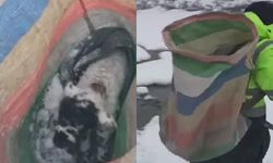 Karlı Havada Yayladan Göçerken Unutulan Kuzuyu Kurtarmak için Seferber Oldular