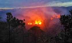 Trabzon'da Farklı İlçelerde Çıkan Orman ve Örtü Yangınlarına Müdahale Ediliyor