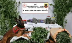 Trabzon'da Uyuşturucu Operasyonları Düzenlendi