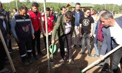 Uşak Belediyesi 11 bin fidanı toprakla buluşturdu