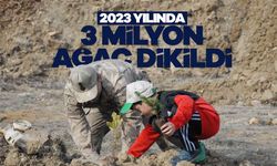 Doğu Karadeniz’in 625 Bin Hektarlık Ormanına 3 Milyon Ağaç Takviyesi