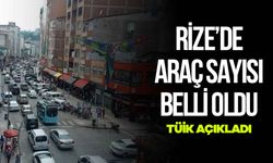 TUİK Kasım Ayı Araç Sayılarını Açıkladı: Rize'de Kaç Araç Var? 