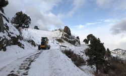 Artvin Karla Mücadelede 118 Köy Yolu Ulaşıma Açıldı