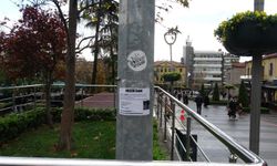 Trabzon'da Elektrik Direğinde İlanla Evlilik Teklifi