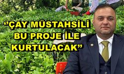 Bünyamin Arslan; ''Çay Müstahsili Bu Proje İle Kurtulacak''