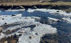 Erzurum'da Dereler Buz Tuttu