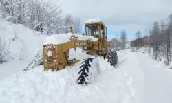 Doğu Karadeniz'de Kar Engeli Devam Ediyor: 367 Köy Yolu Ulaşıma Kapandı