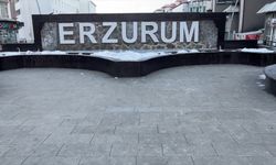 Erzurum'da Soğuk Hava Etkili Oluyor
