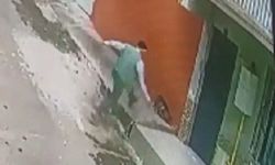 Kediye keserle saldırdı