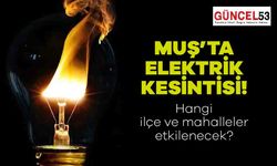 Muş'da 17 Aralık 2023 Pazar Günü Elektrik Kesintisi Yaşanacak Yerler! O Mahalle ve İlçeler Elektriksiz Kalacak.
