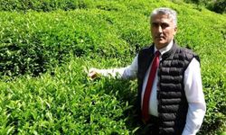 Rize’de Çay Üreticileri Dayanışma Derneği, Mustafa Mavi İle Devam Dedi