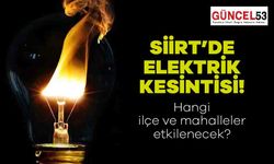 Siirt'de Elektrik Kesintisi Haberi! Siirt'de O Mahalleler 12 Aralık'ta Elektiriksiz Kalacak