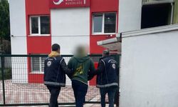 Sinop’ta düzensiz göçmen operasyonu