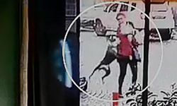Tekirdağ’da pitbull dehşeti kamerada: Hem ona hem de köpeğine saldırdı