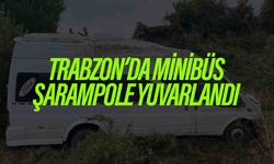 Trabzon'da Minibüsün Şarampole Devrildiği Kazada Sürücü Yaralandı