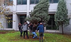 ZBEÜ’de Fırtınada Zarar Gören 68 Ağaca Destek Yapıldı