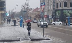 Erzurum'da Kar Yağışı Yeniden Etkisini Göstermeye Başladı