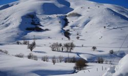 Bayburt'ta 2 Bin 350 Rakımlı Köyde Kar Kalınlığı 4 Metreye Ulaştı