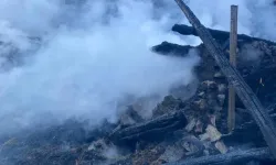 Artvin'de Yangın: 5 Ton Saman Kül Oldu