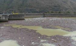 Artvin’deki sel Muratlı Baraj Gölü’nü çöplüğe çevirdi