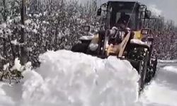 Tunceli’de kardan kapanan köy yolları ulaşıma açılıyor