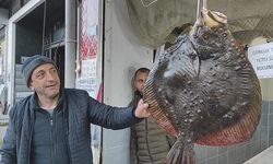 Rize'de Balıkçı Ağına Takılan Kalkan Balığı 7 Bin TL’den Anında Alıcı Buldu