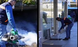 Rize Belediyesi Sivrisineğe Karşı ‘Larva’ Dönemi Mücadelesine Devam Ediyor