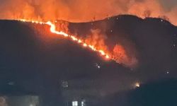 Trabzon’da Orman Yangını: 10 Dönümlük Alan Alevlere Teslim Oldu