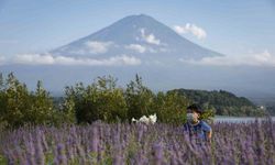 Fuji Dağı’na turist önlemi: Fotoğraf noktalarına bariyer çekilecek