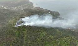 Kastamonu’da orman yangını: Ekiplerin müdahalesi sürüyor