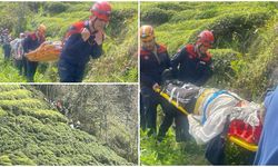 Rize’de Teleferik Kazası: 2 Yaralı