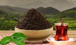 Türk Çayı En çok  Belçika, Birleşik Krallık ve ABD'ye Satılıyor