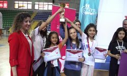 Rize'de Düzenlenen Türkiye Okul Sporları Satranç Şampiyonası Sona Erdi